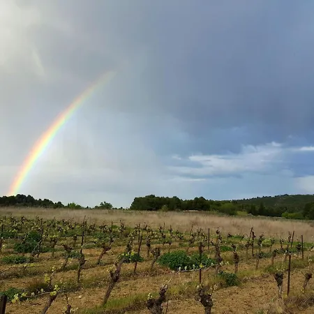 Les Terrasses De La Mediterranee-2 By Interhome דירה